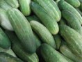 PEPINO CONSERVA KG